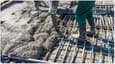 Guide to Concrete, Steel, and Curing in Home Construction