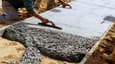 Guide to Concrete, Steel, and Curing in Home Construction