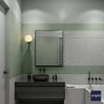 Ladies Toilet Design: A Celebration of Femininity and Elegance - 10' x 9'