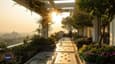 Rooftop Garden Guide: Mastering Design