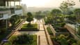 Rooftop Garden Guide: Mastering Design