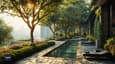 Rooftop Garden Guide: Mastering Design