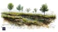 Pune Homeowner's Guide to Preserving Natural Site Features with Science & Architecture
