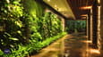 Innovative Vertical Gardens in Indian Homes - Conquer Space with Architect’s Guide