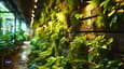 Innovative Vertical Gardens in Indian Homes - Conquer Space with Architect’s Guide