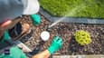 Green Building Guidelines for Water Conservation: Crafting Sustainable Homes in India
