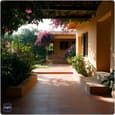 Thriving Mediterranean Gardens in India Guide