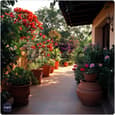 Thriving Mediterranean Gardens in India Guide