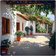 Create Mediterranean Oasis - with Indian Weather Guide