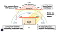 Sun path diagram showing south-facing house light patterns across seasons