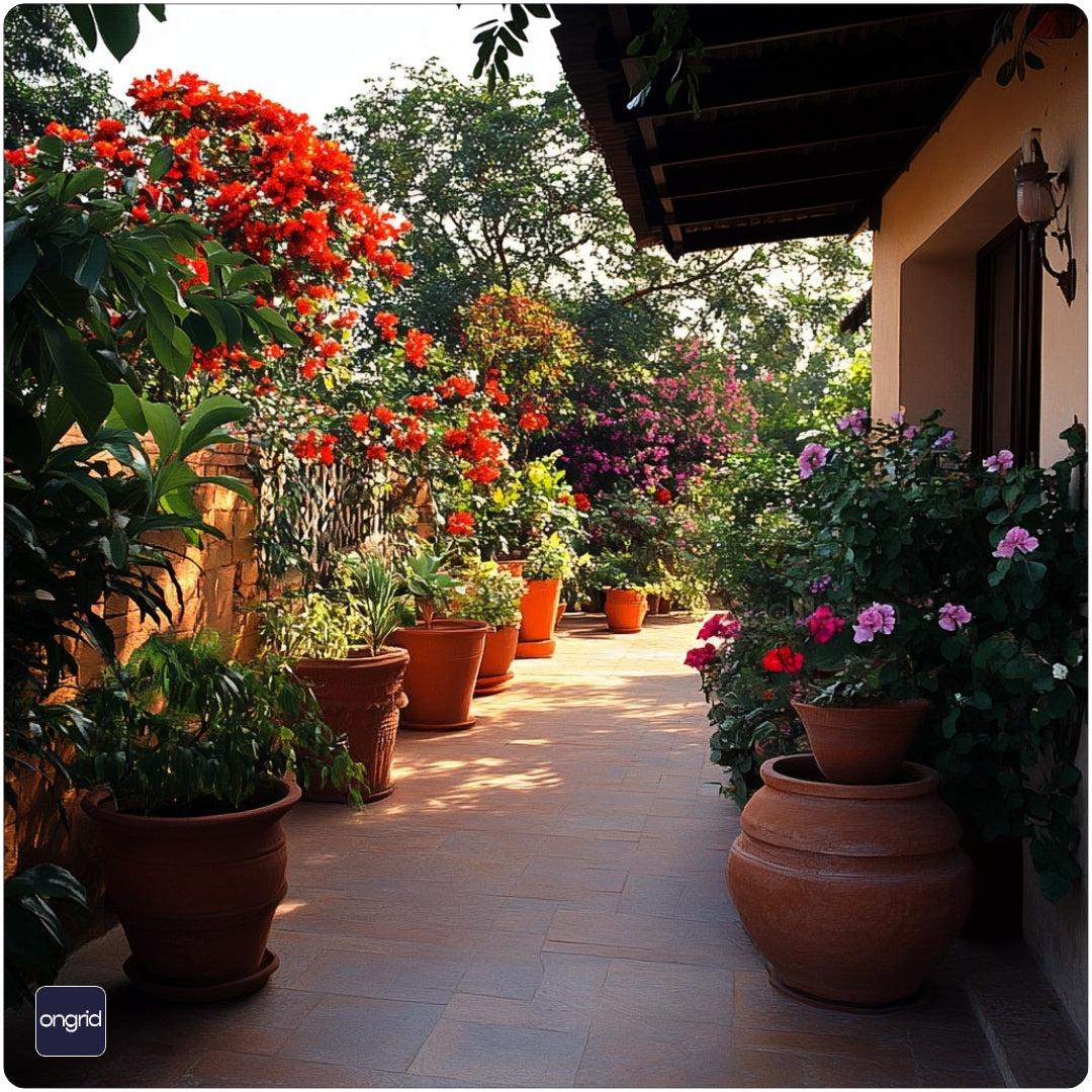 Thriving Mediterranean Gardens in India Guide