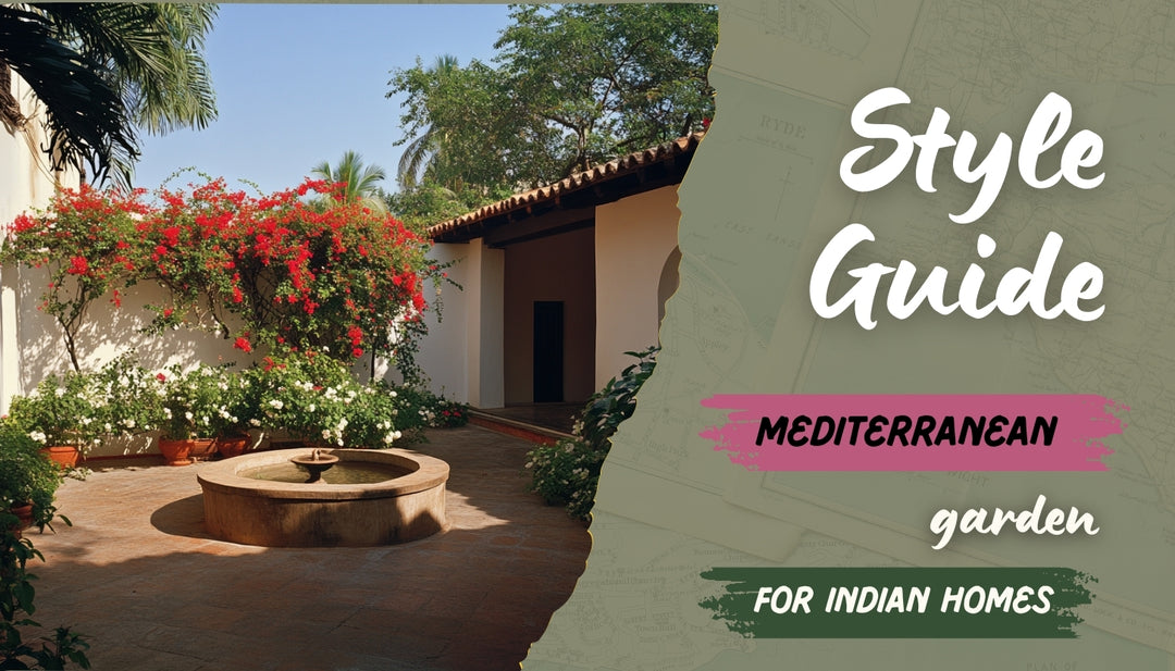 Thriving Mediterranean Gardens in India Guide