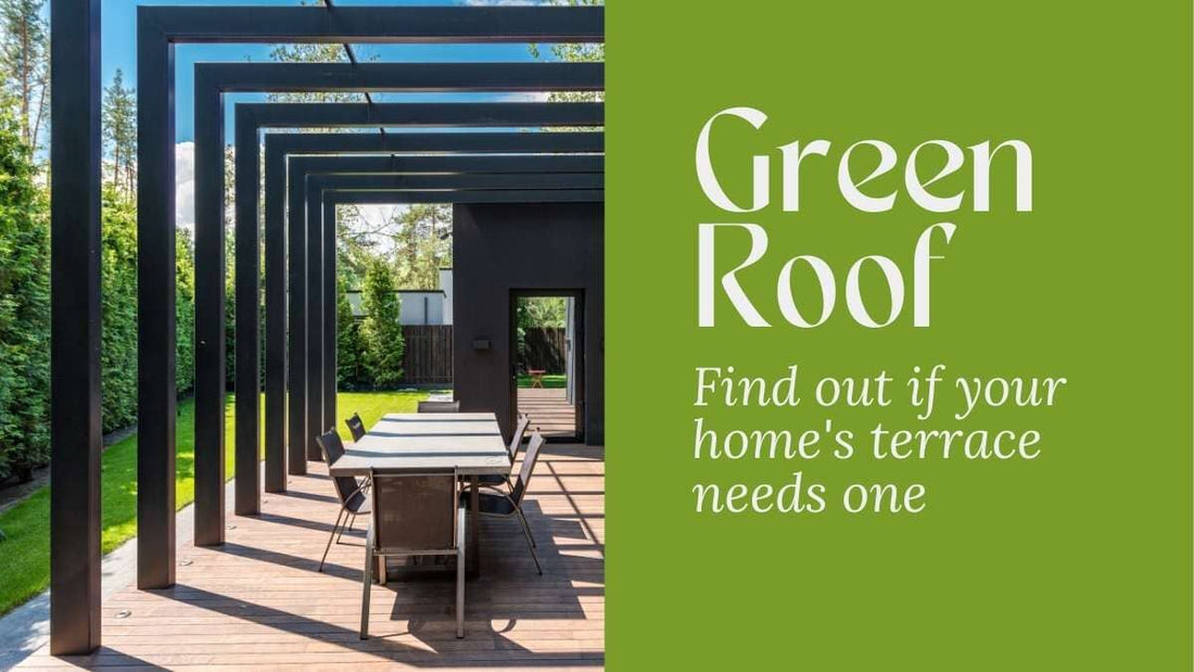 Green roof with plants growing and view of cityscape in the background, showcasing the environmental benefits and urban aesthetic appeal of green roofs.