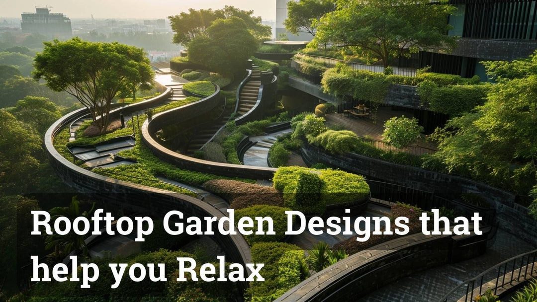 Rooftop Garden Guide: Mastering Design